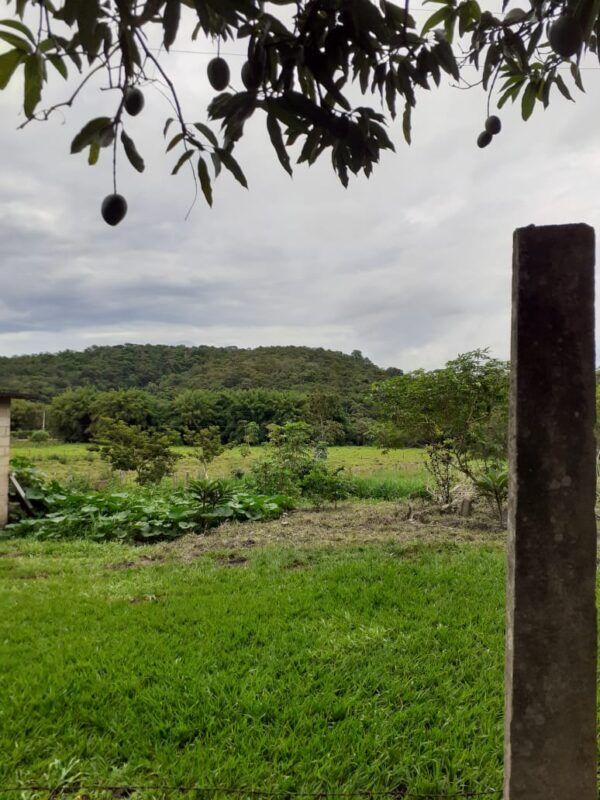 Sitio tipo fazenda em Melo Franco/Brumadinho AMC224 - Image 33