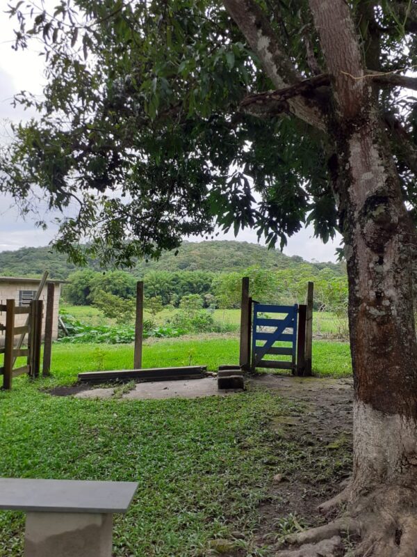 Sitio tipo fazenda em Melo Franco/Brumadinho AMC224 - Image 16