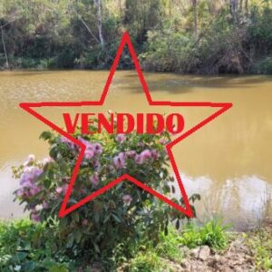 Sitio, tipo roça, com muita água em Caeté AMC216 (VENDIDO)