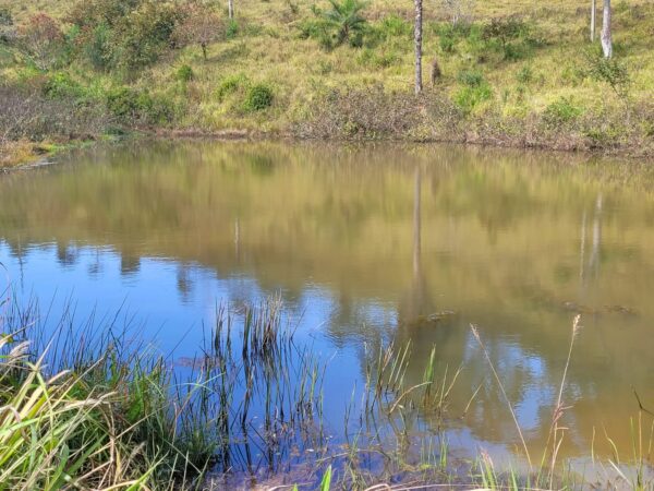 Sitio, tipo roça, com muita água em Caeté AMC216 (VENDIDO) - Image 3