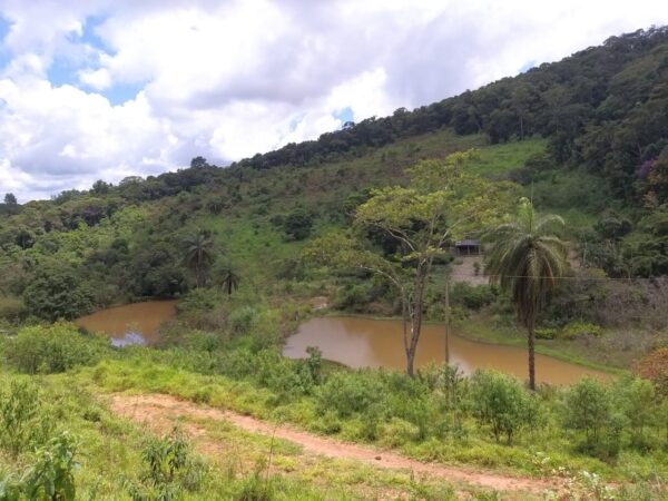 Sitio, tipo roça, com muita água em Caeté AMC216 (VENDIDO) - Image 5