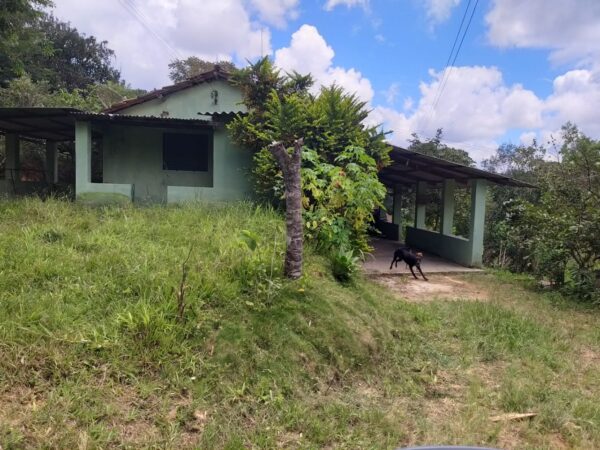 Sitio, tipo roça, com muita água em Caeté AMC216 (VENDIDO) - Image 8