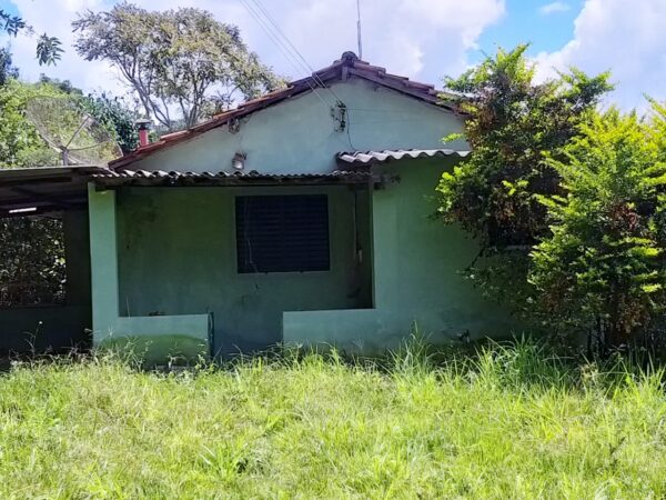 Sitio, tipo roça, com muita água em Caeté AMC216 (VENDIDO) - Image 7