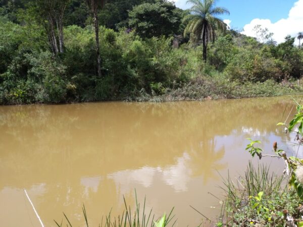 Sitio, tipo roça, com muita água em Caeté AMC216 (VENDIDO) - Image 2