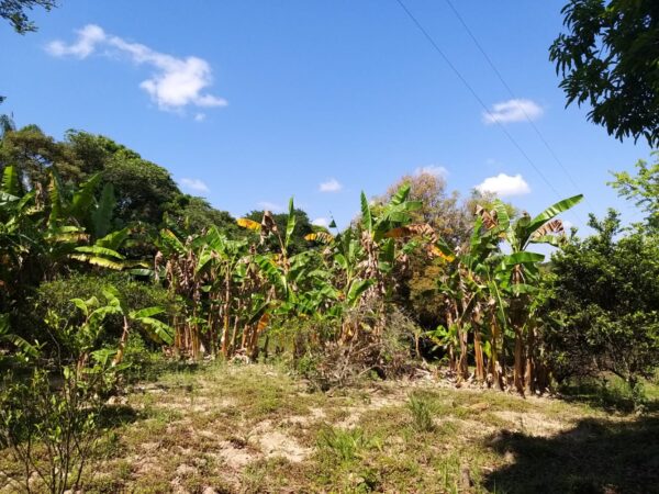 Sitio tipo fazenda em Melo Franco/Brumadinho AMC224 - Image 36