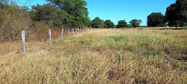 Fazenda em porteirinha 2.150 hectares AMC391 - Image 5