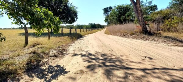 Fazenda em porteirinha 2.150 hectares AMC391 - Image 7