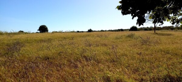 Fazenda em porteirinha 2.150 hectares AMC391 - Image 8