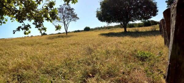 Fazenda em porteirinha 2.150 hectares AMC391 - Image 9