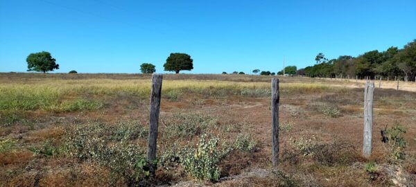 Fazenda em porteirinha 2.150 hectares AMC391 - Image 13