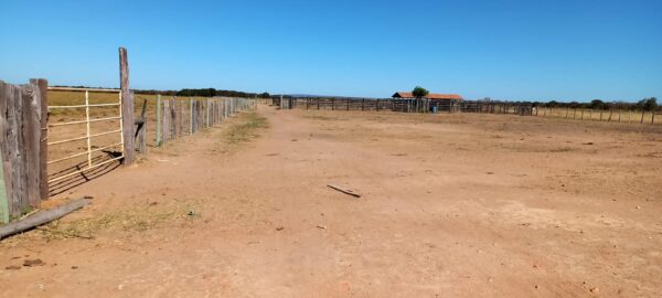 Fazenda em porteirinha 2.150 hectares AMC391 - Image 19