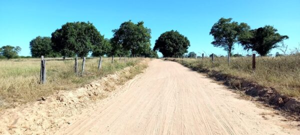 Fazenda em porteirinha 2.150 hectares AMC391 - Image 32