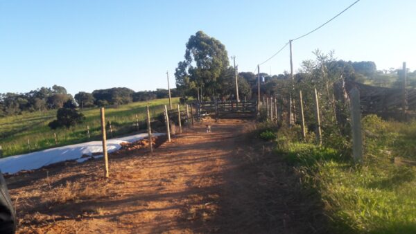 Fazenda em Itatiauçu AMC395 - Image 6