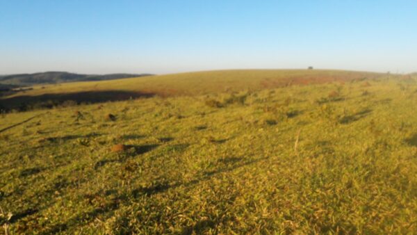 Fazenda em Itatiauçu AMC395 - Image 7