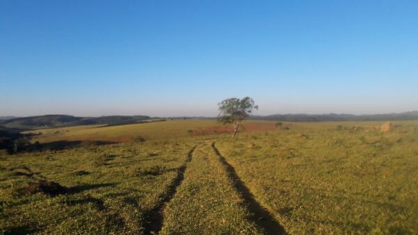 Fazenda em Itatiauçu AMC395 - Image 8