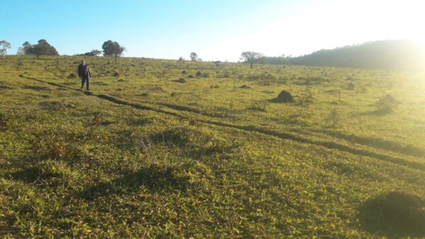 Fazenda em Itatiauçu AMC395 - Image 10