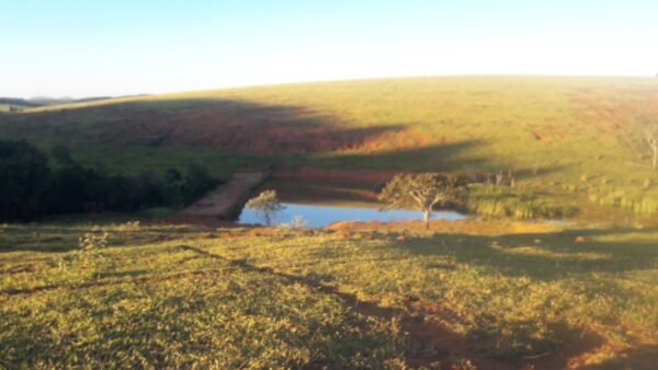 Fazenda em Itatiauçu AMC395