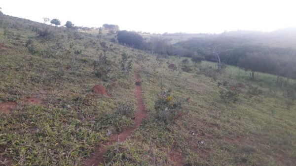 Fazenda em Itatiauçu AMC395 - Image 13