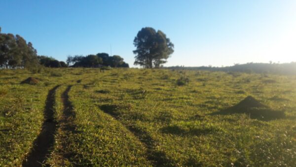 Fazenda em Itatiauçu AMC395 - Image 14