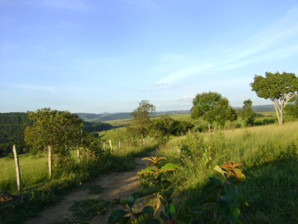 Fazenda em Itatiauçu AMC395 - Image 19