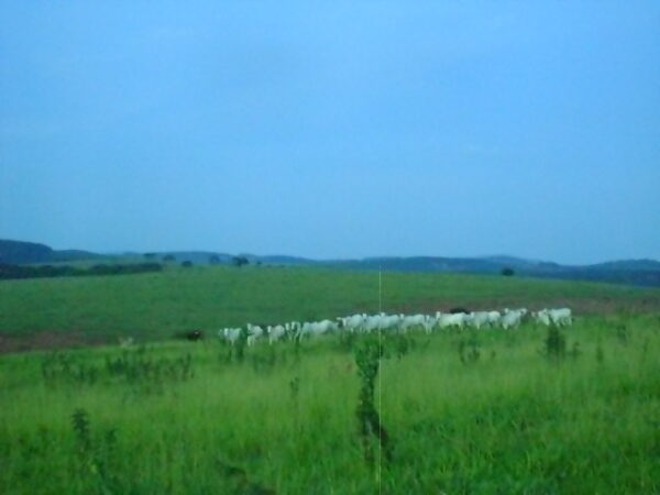 Fazenda em Itatiauçu AMC395 - Image 21