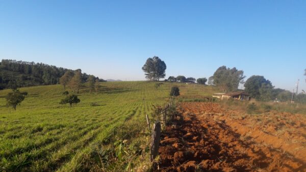 Fazenda em Itatiauçu AMC395 - Image 2