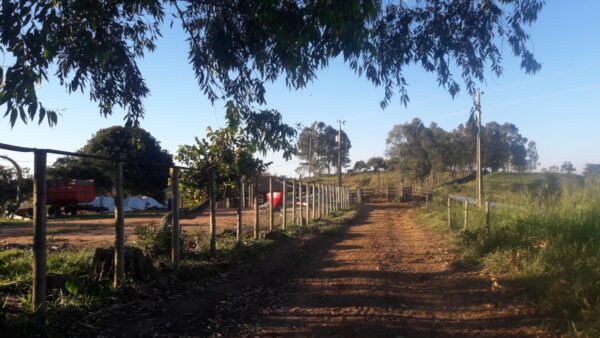 Fazenda em Itatiauçu AMC395 - Image 26