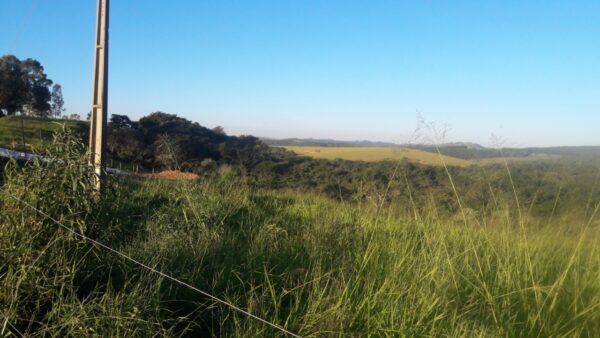 Fazenda em Itatiauçu AMC395 - Image 29