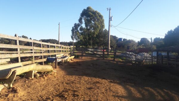 Fazenda em Itatiauçu AMC395 - Image 30