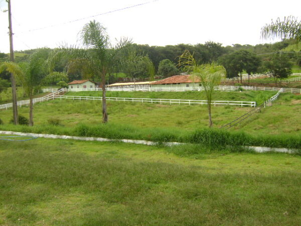 Fazenda em Mateus Leme AMC396 - Image 13