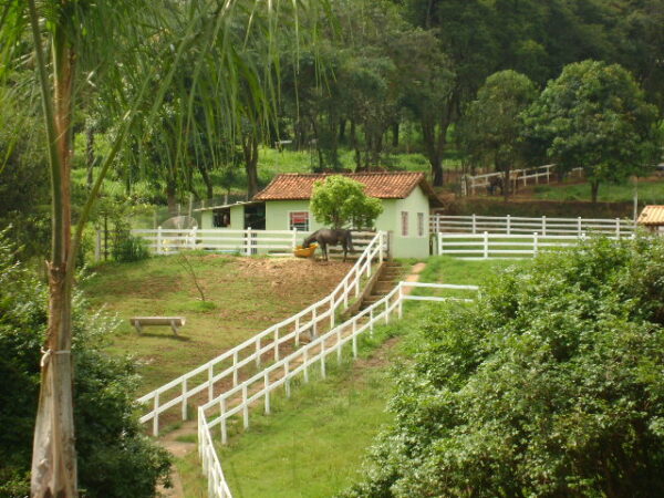 Fazenda em Mateus Leme AMC396 - Image 25