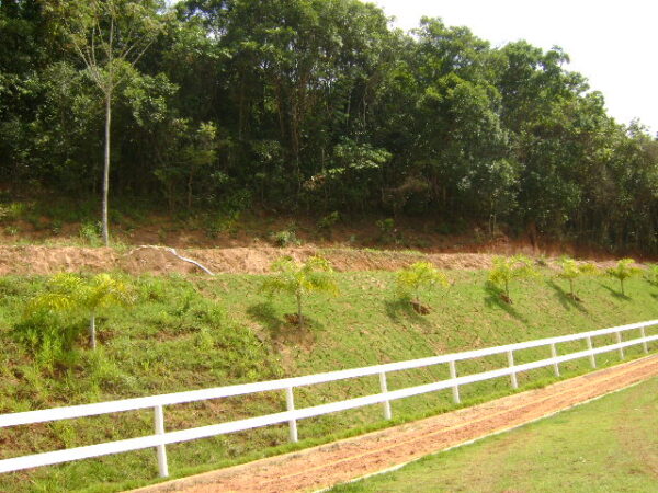 Fazenda em Mateus Leme AMC396 - Image 34