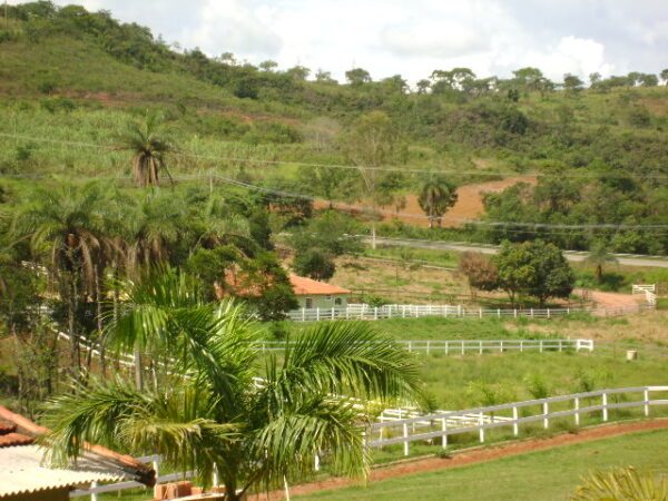 Fazenda em Mateus Leme AMC396 - Image 37