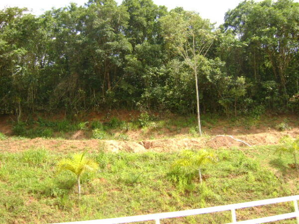 Fazenda em Mateus Leme AMC396 - Image 47