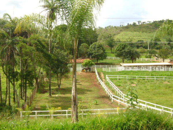 Fazenda em Mateus Leme AMC396 - Image 58