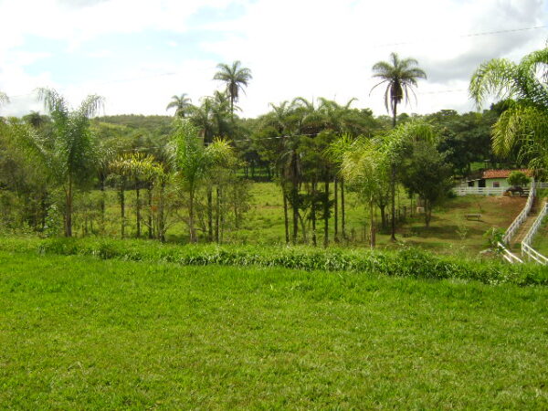 Fazenda em Mateus Leme AMC396 - Image 71