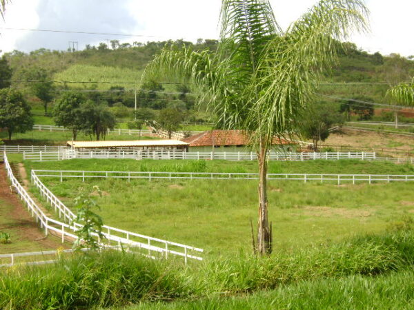 Fazenda em Mateus Leme AMC396 - Image 72