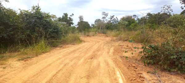 Fazenda em Curvelo/MG AMC405 - Image 11