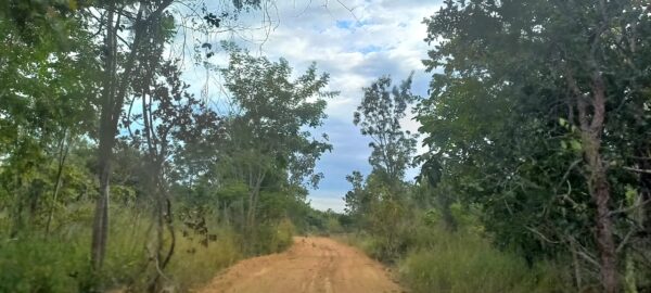 Fazenda em Curvelo/MG AMC405