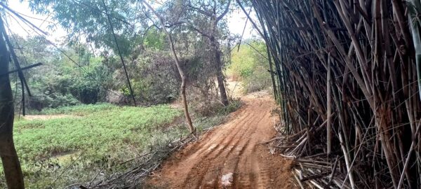 Fazenda em Curvelo/MG AMC405 - Image 16