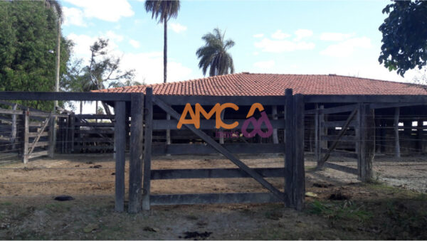 Fazenda em São Gotardo AMC412 - Image 3